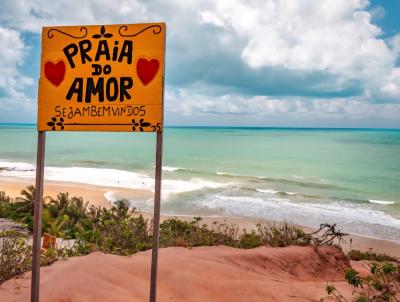 Lote para Venda, em Fundo, bairro Praia Grande